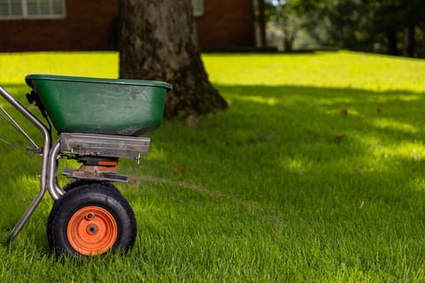 Lawn Care & Pest Control Advice Memphis, TN and N. Mississippi Lawn